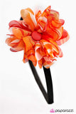 Zebra Zest - orange
